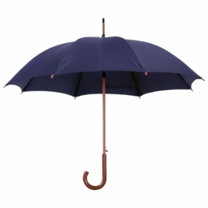 מטריה ממותגת דגם לאגר צבע כחול